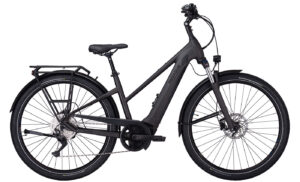 PEGASUS Savino Evo 10 CX - 28 Zoll 625Wh 10K Trapez - grey matt