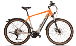 BULLS Cross Rider EVO 1 - 29 Zoll 625Wh 10K Diamant - light grey/orange