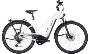 PEGASUS Premio Evo 11 Lite - 28 Zoll 750Wh 11K Trapez - metallic off white