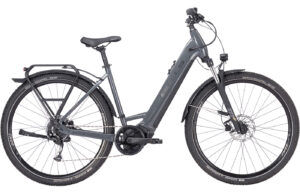 BULLS Cross Flyer EVO 2 - 29 Zoll 750Wh 9K Wave - nano grey