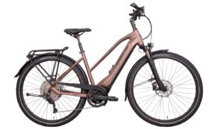 Hercules Pasero I-10 - 28 Zoll 750Wh 10K Trapez - braun-matt