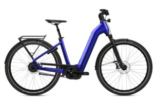 FLYER Gotour 7.12 XC ABS - 28 Zoll 750Wh 10K Wave - Frosty Sage