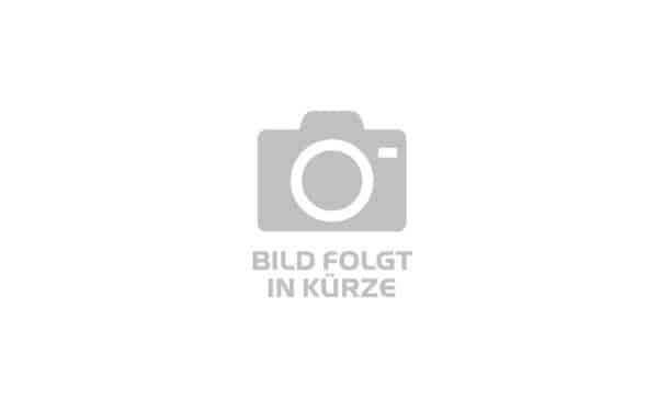 Croozer CTS Fahrrad Set Weber E