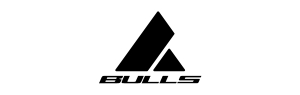 Bulls Logo