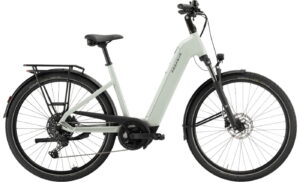 PEGASUS Solero EVO 10 - 28 Zoll 800Wh 10K Wave - sage